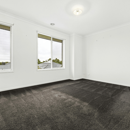 Clean-Carpet